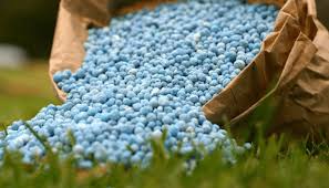 Urea export